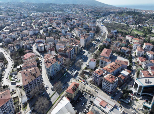 {{brizy_dc_image_alt entityId=