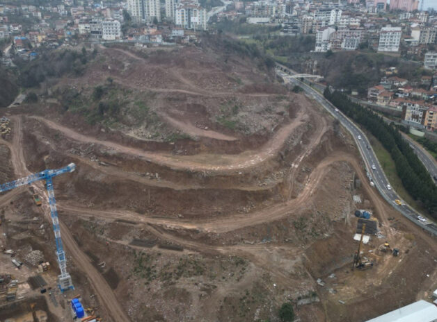 {{brizy_dc_image_alt entityId=